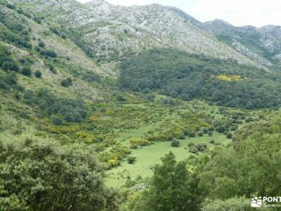 Montaña Palentina.Fuentes Carrionas; lugares cercanos a madrid para visitar diccionario montaña pala